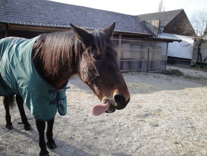 DSC04961_Bildgröße ändern.JPG