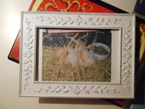 578830_444139908999292_1408952170_n.jpg 578830_444139908999292_1408952170_n.jpg