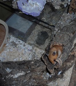 Hab cam wieder ! T+M 006.JPG Hab cam wieder ! T+M 006.JPG