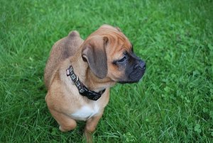 Ayko (13) - Kopie.JPG