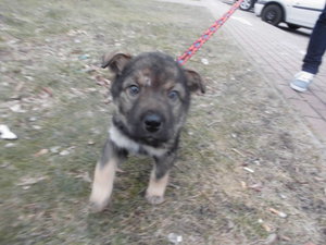 romer,allice,hannover 007.JPG