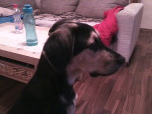 Foto1218 (800x600).jpg