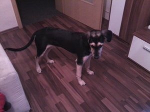 Foto1224 (800x600).jpg