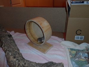 Melli 072.JPG Melli 072.JPG