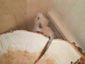 SANY2788.JPG SANY2788.JPG