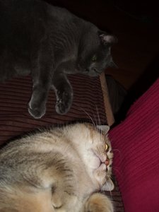 DSCI0003 (375x500).jpg