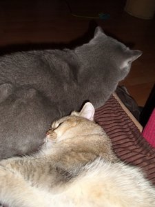 DSCI0005 (375x500).jpg