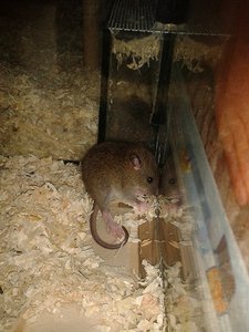 2013-04-03 18.57.54.jpg