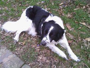 Ich hab den Frühling gefunden.jpg