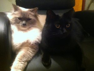 3c43c778-4fc4-47ac-b76a-6243fdda303c.jpg 3c43c778-4fc4-47ac-b76a-6243fdda303c.jpg