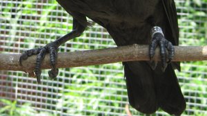 Füßchen.jpg Füßchen.jpg