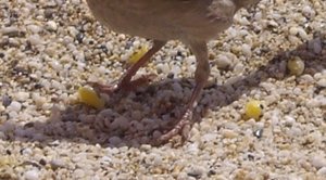 Untitled 1.jpg Untitled 1.jpg