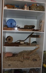 kleiner gemacht 18.jpg