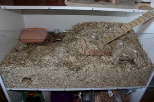 kleiner gemacht 19.jpg