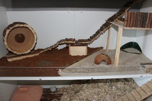 kleiner gemacht 20.jpg