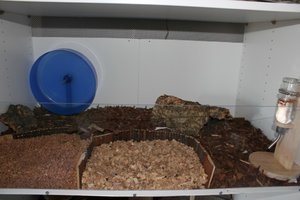 kleiner gemacht 21.jpg