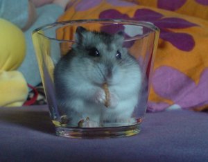 44636_1568273375463_3634074_n.jpg 44636_1568273375463_3634074_n.jpg