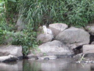 IMG_8677.JPG IMG_8677.JPG