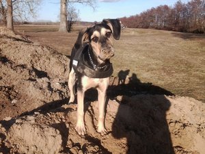 Foto1257 (640x480).jpg Foto1257 (640x480).jpg