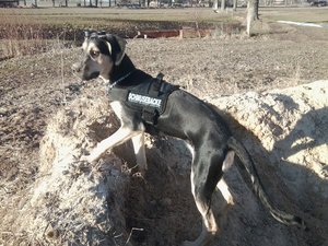 Foto1258 (640x480).jpg Foto1258 (640x480).jpg