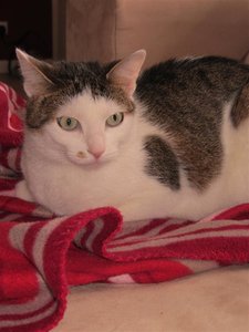 IMG_0161 (Mittel).JPG