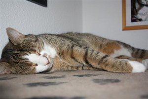 IMG_5489 (Klein).JPG