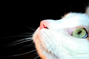 IMG_0327 (Klein).jpg