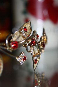 IMG_0340 (Klein).jpg