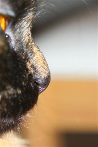 IMG_0355 (Klein).jpg