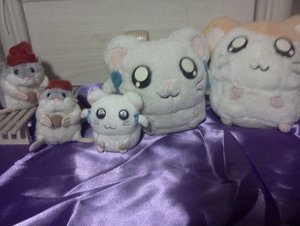 IMG20130410_001.jpg IMG20130410_001.jpg