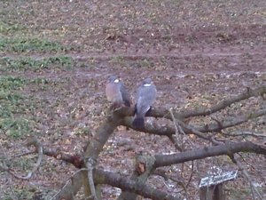 2013-04-12 19.24.51-2.jpg