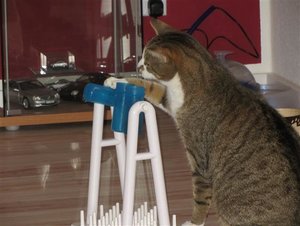 IMG_0171 (Klein).JPG