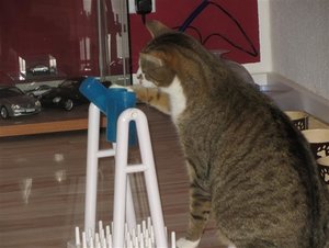 IMG_0172 (Klein).JPG