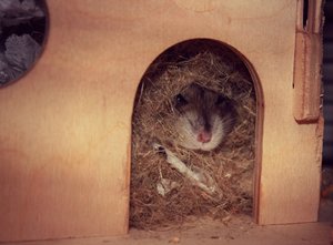 IMG_6538.JPG IMG_6538.JPG