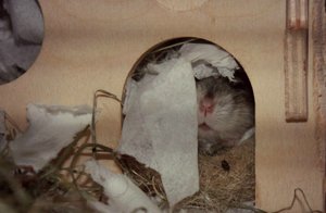 IMG_6889.JPG IMG_6889.JPG