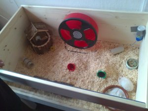 71891_213103702160865_799253286_n.jpg 71891_213103702160865_799253286_n.jpg