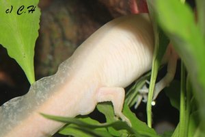 IMG_8879bkc.JPG IMG_8879bkc.JPG