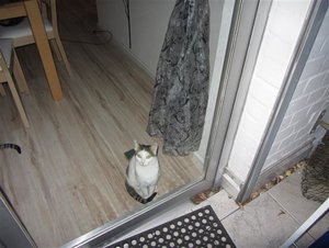 IMG_0404 (Klein).JPG