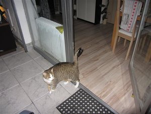 IMG_0426 (Klein).JPG