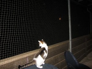 IMG_0433 (Klein).JPG