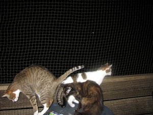 IMG_0441 (Klein).JPG