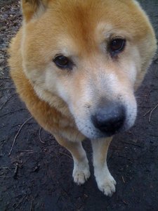 IMG_0301 - Kopie.JPG