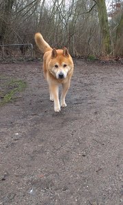 IMAG0014 - Kopie.jpg