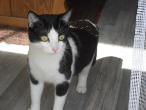 SDC10636.JPG SDC10636.JPG