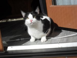 SDC10640.JPG SDC10640.JPG