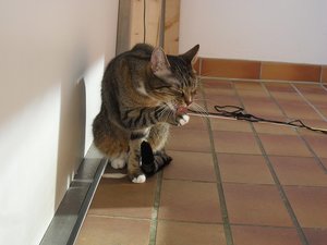 SDC10641.JPG SDC10641.JPG