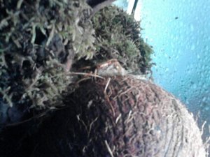 1366358032713.jpg 1366358032713.jpg