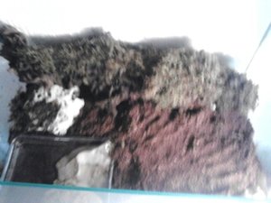 1366367503789.jpg 1366367503789.jpg