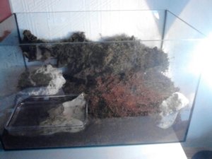 1366367492489.jpg 1366367492489.jpg