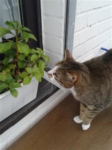 20130423_145100 (Klein).jpg